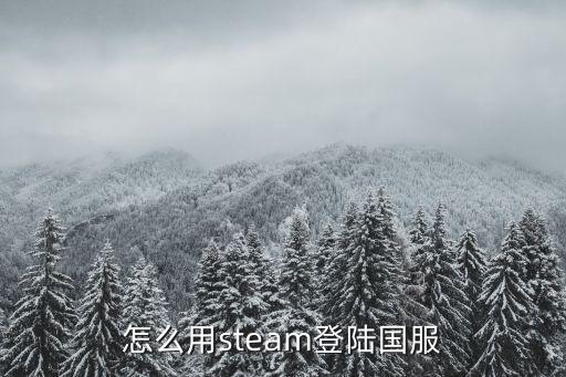 怎么用steam登陆国服