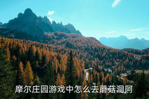 摩尔庄园游戏中怎么去蘑菇洞阿