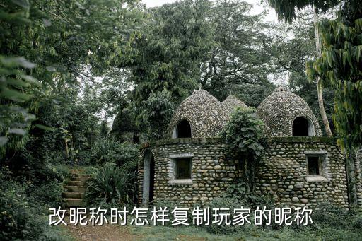 火影忍者手游改名字怎么复制粘贴，要换名字怎么复制上去