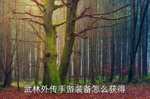 武林外传手游装备怎么获得