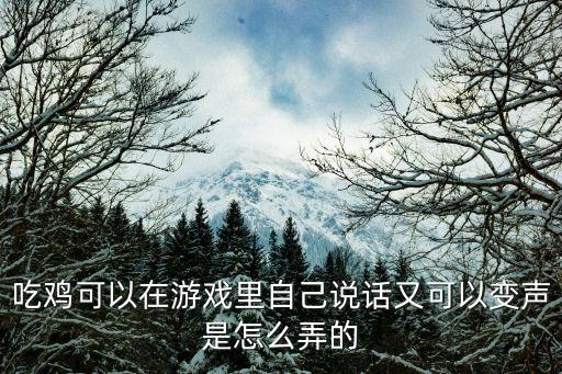 手游吃鸡变声直播怎么弄，吃鸡可以在游戏里自己说话又可以变声是怎么弄的