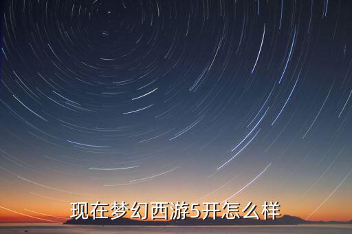 梦幻手游115五开怎么样，梦幻西游五开赚钱吗 队伍如何配置 自己练一队合适还是买成品
