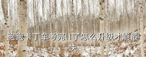 跑跑手游怎么快速升级车辆，跑跑卡叮车怎么升级才快