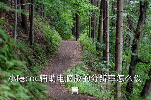 小曦coc辅助电脑版的分辨率怎么设置