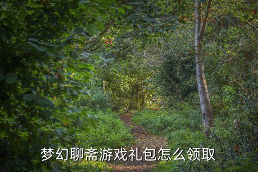 梦幻聊斋游戏礼包怎么领取