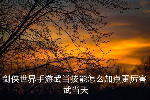 剑侠世界手游武当技能怎么加点更厉害 武当天