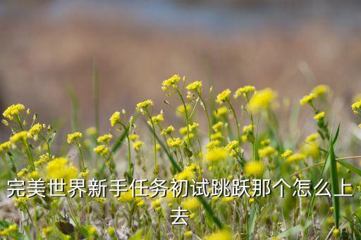 完美世界新手任务初试跳跃那个怎么上去