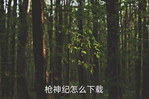 枪神纪怎么下载