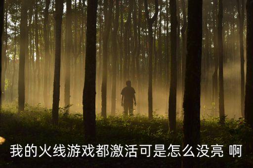 穿越火线手游武器名牌怎么不亮，CF 为什么我买了徽章现在游戏里没有亮