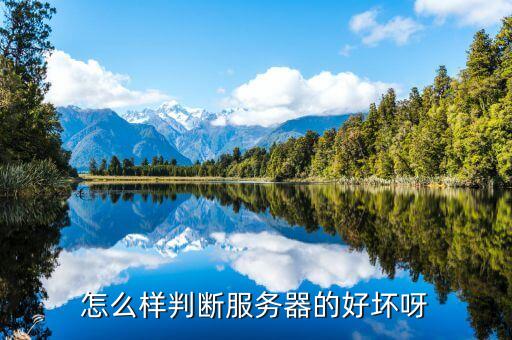 怎么样判断服务器的好坏呀