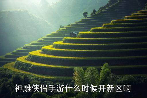 神雕侠侣手游什么时候开新区啊