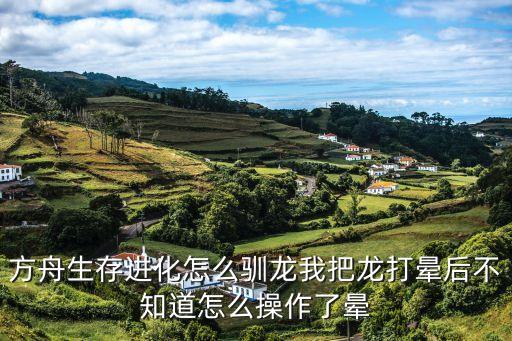 方舟生存进化怎么驯龙我把龙打晕后不知道怎么操作了晕