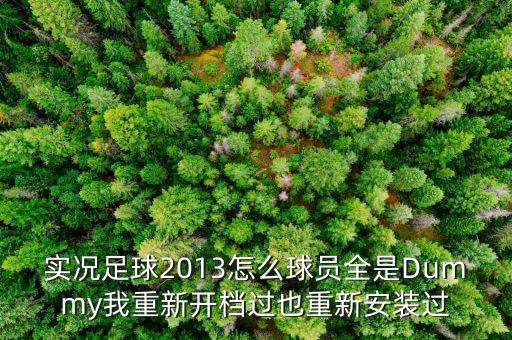 实况足球2013怎么球员全是Dummy我重新开档过也重新安装过