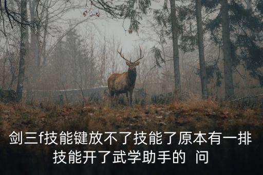 剑三f技能键放不了技能了原本有一排技能开了武学助手的  问