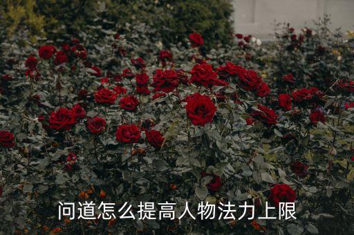 问道怎么提高人物法力上限