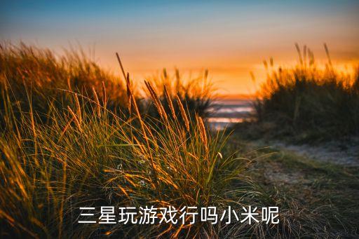 三星玩游戏行吗小米呢