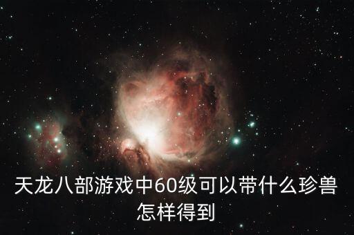 天龙八部游戏中60级可以带什么珍兽怎样得到