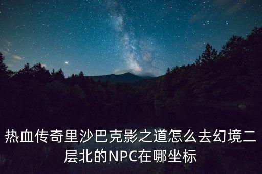 热血传奇里沙巴克影之道怎么去幻境二层北的NPC在哪坐标