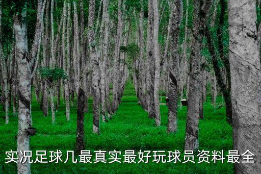 实况足球几最真实最好玩球员资料最全