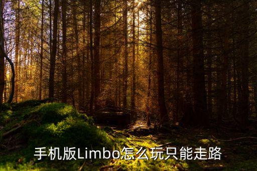 手机版Limbo怎么玩只能走路