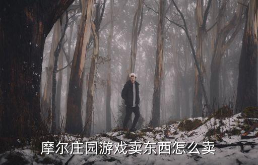 摩尔庄园游戏卖东西怎么卖