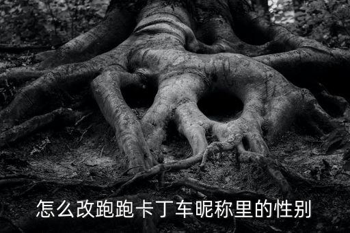 怎么改跑跑卡丁车昵称里的性别