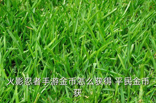 火影忍者手游金币怎么获得 平民金币获