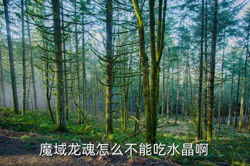 魔域龙魂怎么不能吃水晶啊