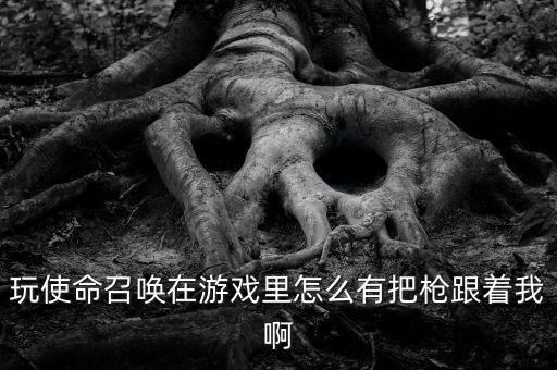 玩使命召唤在游戏里怎么有把枪跟着我啊