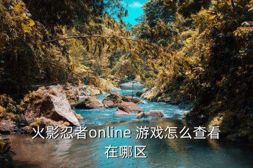 火影忍者online 游戏怎么查看在哪区