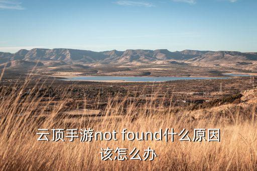 云顶手游not found什么原因该怎么办