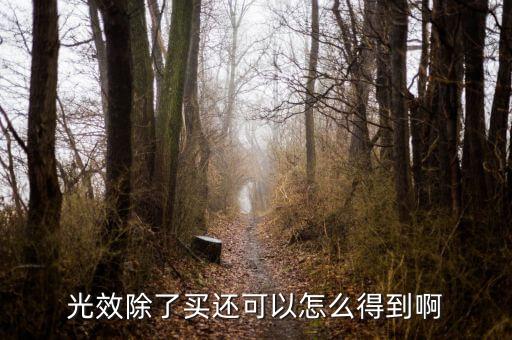 光效除了买还可以怎么得到啊