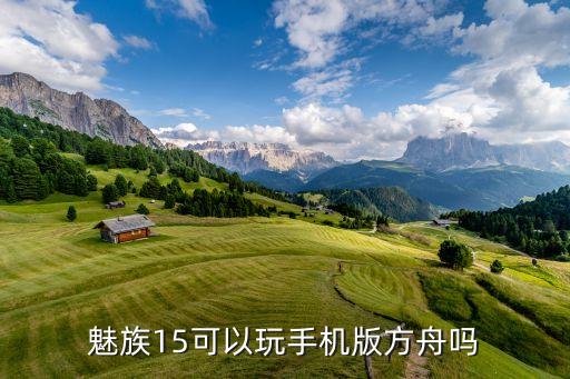 魅族15可以玩手机版方舟吗