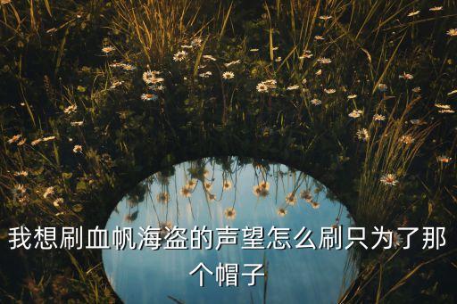 我想刷血帆海盗的声望怎么刷只为了那个帽子