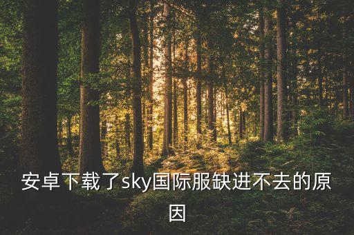 安卓下载了sky国际服缺进不去的原因