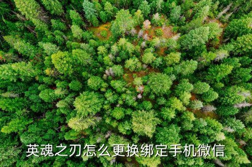 英魂之刃怎么更换绑定手机微信
