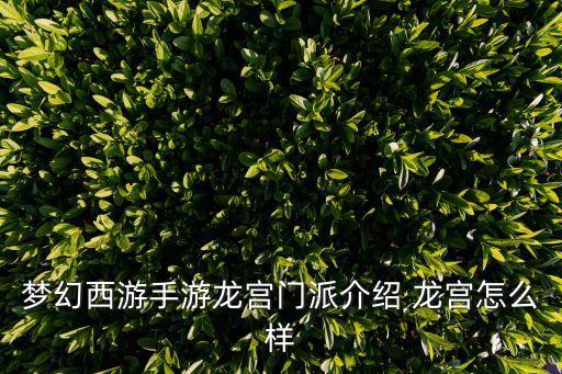 梦幻手游运营龙宫怎么样，梦幻西游龙宫好吗
