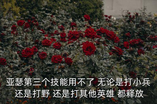 亚瑟第三个技能用不了 无论是打小兵 还是打野 还是打其他英雄 都释放