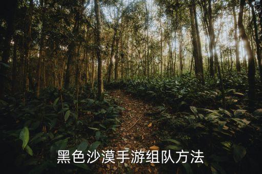 黑色沙漠手游组队方法