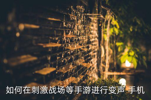 如何在刺激战场等手游进行变声 手机