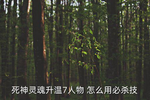 死神灵魂升温7人物 怎么用必杀技
