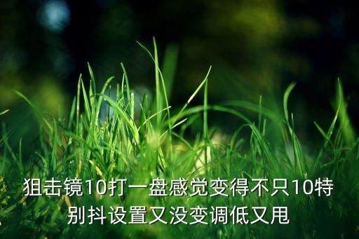 狙击镜10打一盘感觉变得不只10特别抖设置又没变调低又甩