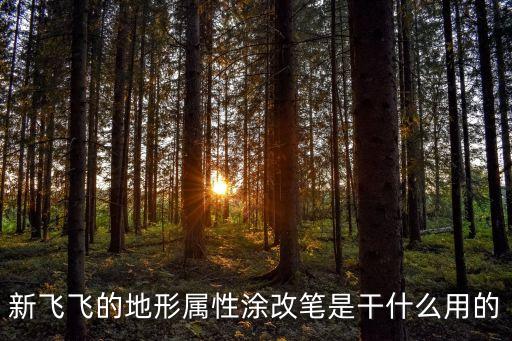 新飞飞的地形属性涂改笔是干什么用的