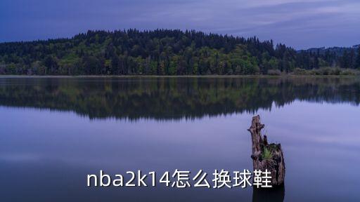 nba2k14怎么换球鞋