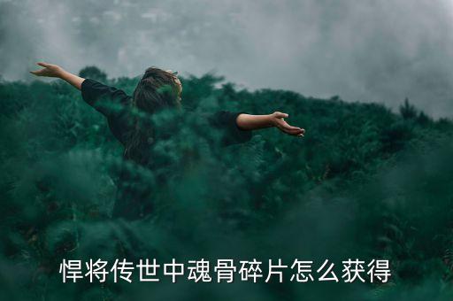 悍将传世中魂骨碎片怎么获得