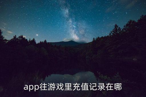 app往游戏里充值记录在哪