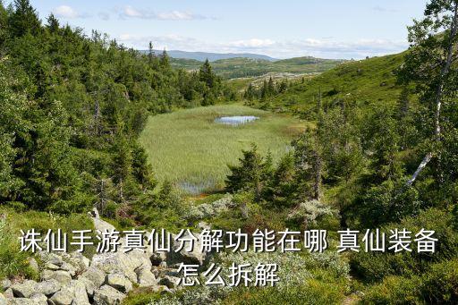 诛仙手游真仙首饰怎么分，诛仙手游真仙以上的首饰是怎么做出来的