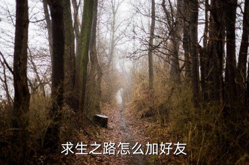 求生之路手游怎么加好友，求生之路2简体中文版怎么加好友