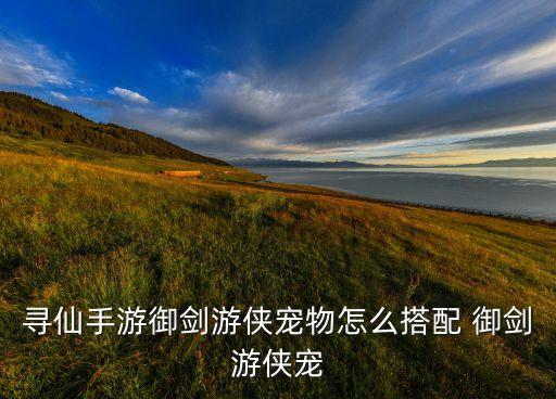 寻仙手游宠物装备怎么搭配，寻仙手游奇门游侠侍宠怎么搭配 奇门游侠侍