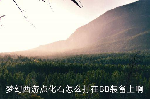 梦幻西游点化石怎么打在BB装备上啊